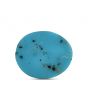 Irani Turquoise (Firoza) 3.98 Carat 