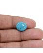 Irani Turquoise (Firoza) 3.98 Carat 