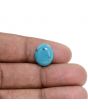 Irani Turquoise (Firoza) 3.98 Carat 