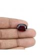 Hessonite (Gomed) - 11.76 Carat 