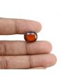 Hessonite (Gomed) - 12.29 Carat