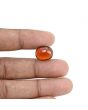 Hessonite (Gomed) - 12.29 Carat
