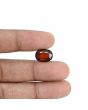 Hessonite (Gomed) - 9.54 Carat 