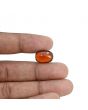Hessonite (Gomed) - 10.89 Carat 