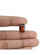Hessonite (Gomed) - 8.07 Carat 