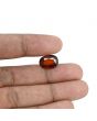 Hessonite (Gomed) - 8.07 Carat 