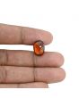 Hessonite (Gomed) - 8.07 Carat 