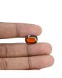 Hessonite (Gomed) - 6.93 Carat 