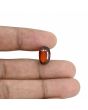 Hessonite (Gomed) - 6.83 Carat 