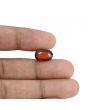 Hessonite (Gomed) - 6.83 Carat 