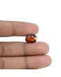 Hessonite (Gomed) - 7.67 Carat 