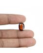 Hessonite (Gomed) - 7.67 Carat 