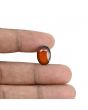 Hessonite (Gomed) - 7.79 Carat 