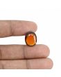 Hessonite (Gomed) - 10.25 Carat 