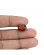 Hessonite (Gomed) - 8.91 Carat 