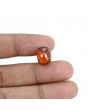 Hessonite (Gomed) - 8.91 Carat 