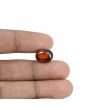 Hessonite (Gomed) - 7.49 Carat 