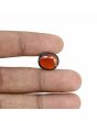 Hessonite (Gomed) - 8.66 Carat 