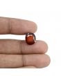 Hessonite (Gomed) - 6.79 Carat 