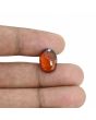 Hessonite (Gomed) - 8.21 Carat 