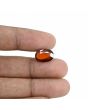 Hessonite (Gomed) - 6.6 Carat 