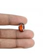 Hessonite (Gomed) - 6.6 Carat 