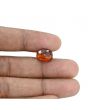Hessonite (Gomed) - 7.96 Carat 