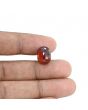 Hessonite (Gomed) - 9.74 Carat 