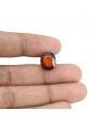 Hessonite (Gomed) - 8.79 Carat 