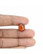 Hessonite (Gomed) - 8.79 Carat 