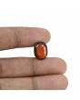 Hessonite (Gomed) - 8.01 Carat 