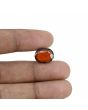 Hessonite (Gomed) - 8.01 Carat 