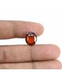 Hessonite (Gomed) - 8.37 Carat 