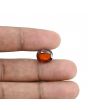 Hessonite (Gomed) - 5.82 Carat 