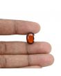 Hessonite (Gomed) - 6.73 Carat 