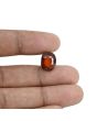 Hessonite (Gomed) - 7.41 Carat 
