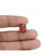 Hessonite (Gomed) - 9.25 Carat 