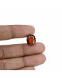 Hessonite (Gomed) - 10.31 Carat 