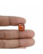 Hessonite (Gomed) - 10.31 Carat 