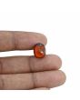 Hessonite (Gomed) - 7.79 Carat 