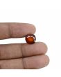Hessonite (Gomed) - 6.8 Carat 