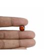Hessonite (Gomed) - 5.51 Carat 