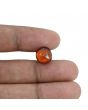 Hessonite (Gomed) - 6.6 Carat 