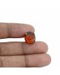 Hessonite (Gomed) - 8.88 Carat 