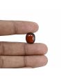 Hessonite (Gomed) - 10.62 Carat 