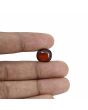 Hessonite (Gomed) - 10.62 Carat 