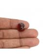 Hessonite (Gomed) - 10.62 Carat 