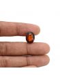 Hessonite (Gomed) - 7.69 Carat 