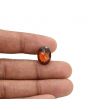 Hessonite (Gomed) - 7.69 Carat 