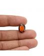 Hessonite (Gomed) - 5.88 Carat 